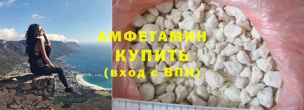 прущие грибы Осташков