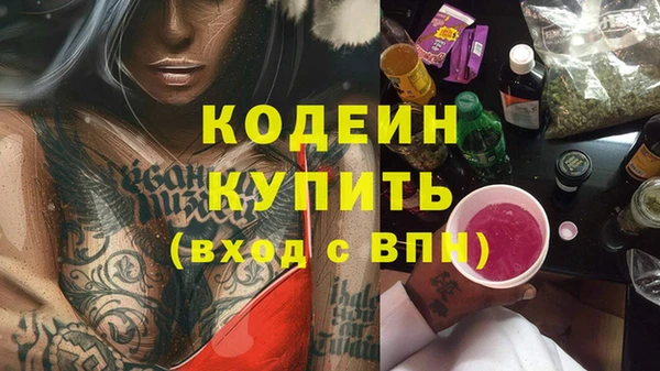 прущие грибы Осташков