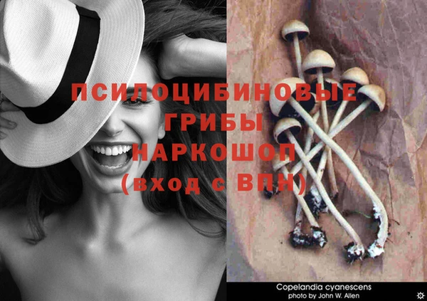прущие грибы Остров