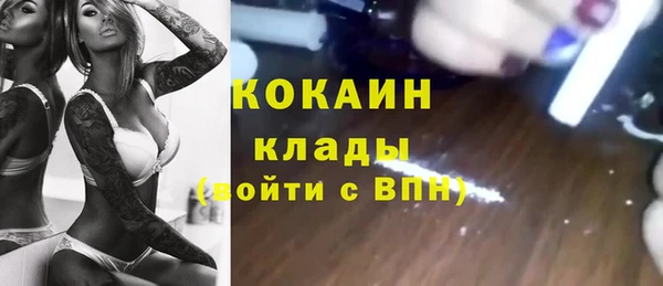прущие грибы Осташков