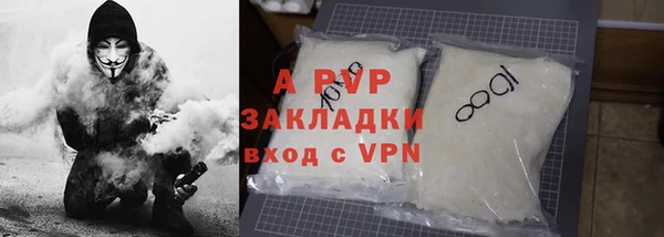 прущие грибы Осташков