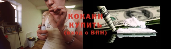 прущие грибы Остров