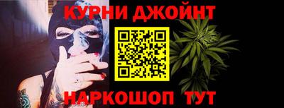 крисы Кингисепп