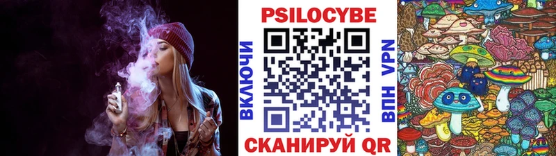 Галлюциногенные грибы Psilocybe  Кизилюрт 