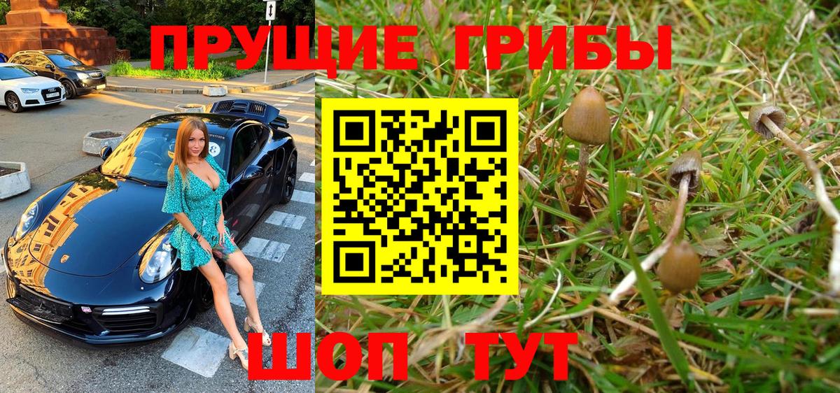 Кизилюрт  Меф   ГАШИШ  Cocaine  ТГК  Конопля  Кокаин 