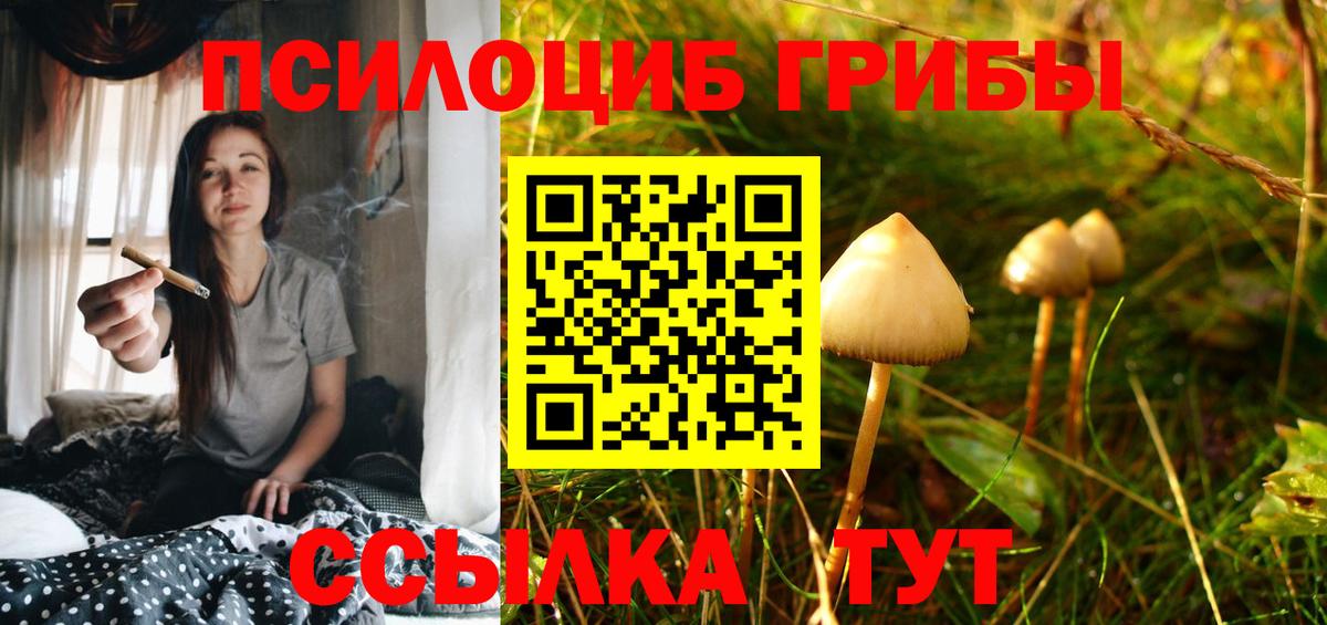 Галлюциногенные грибы ЛСД  Галлюциногенные грибы ЛСД  Кизилюрт 