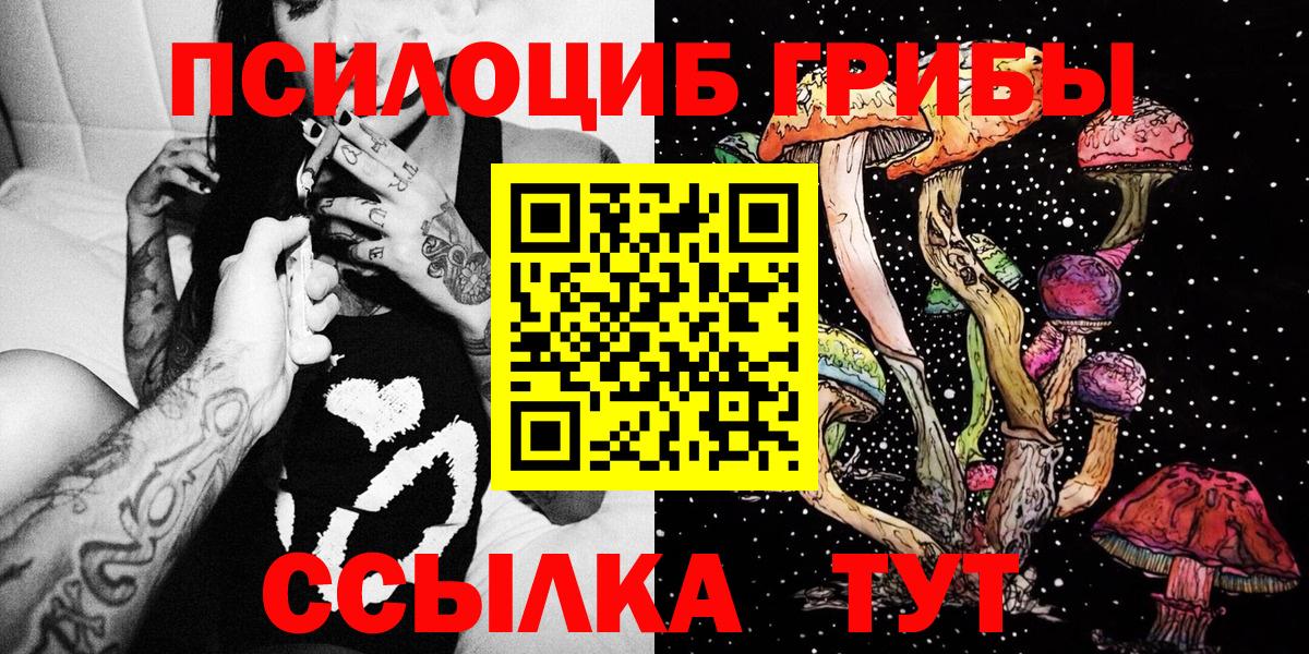 Кизилюрт  Псилоцибиновые грибы Magic Shrooms  Вход с VPN 