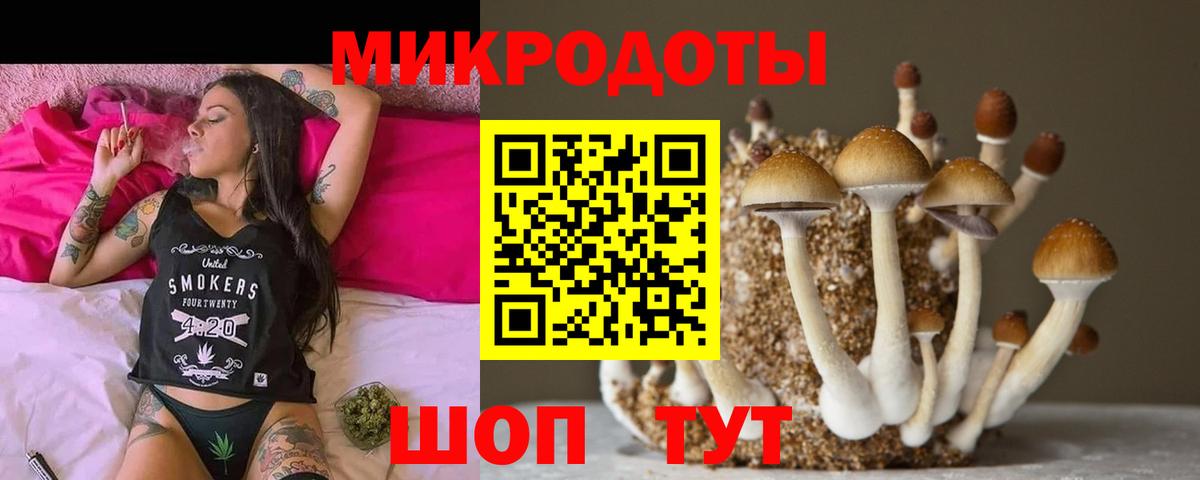 купить наркоту  Псилоцибиновые грибы Magic Shrooms  Кизилюрт  Псилоцибиновые грибы мухоморы 
