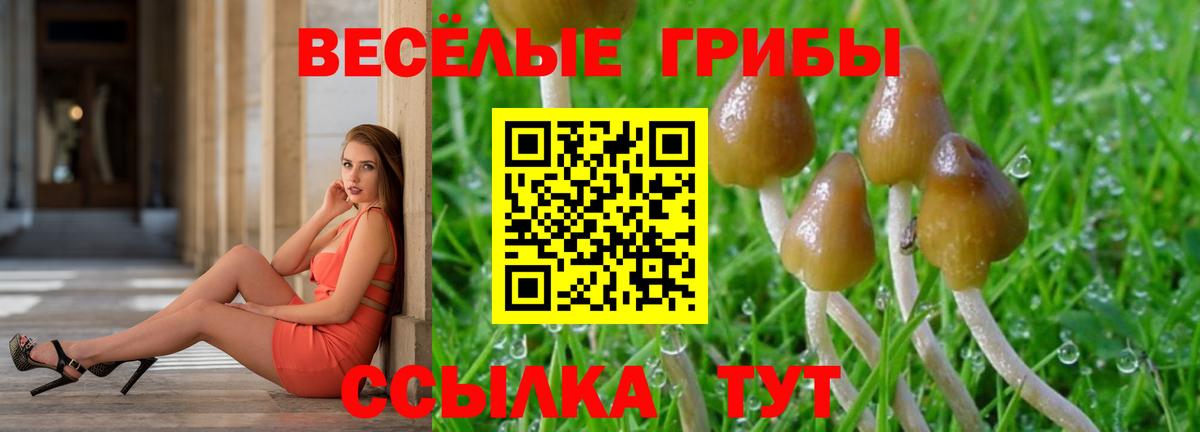 A PVP СОЛЬ   ГАШ  КЕТАМИН  Магазины продажи наркотиков  Кизилюрт  Cocaine  Конопля  Мефедрон   Лсд 25 