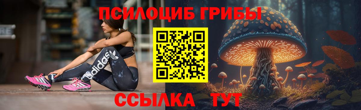 Галлюциногенные грибы Psilocybine cubensis Кизилюрт