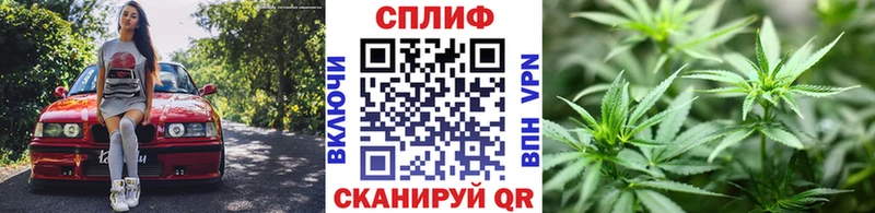 Бошки Шишки White Widow Кизилюрт